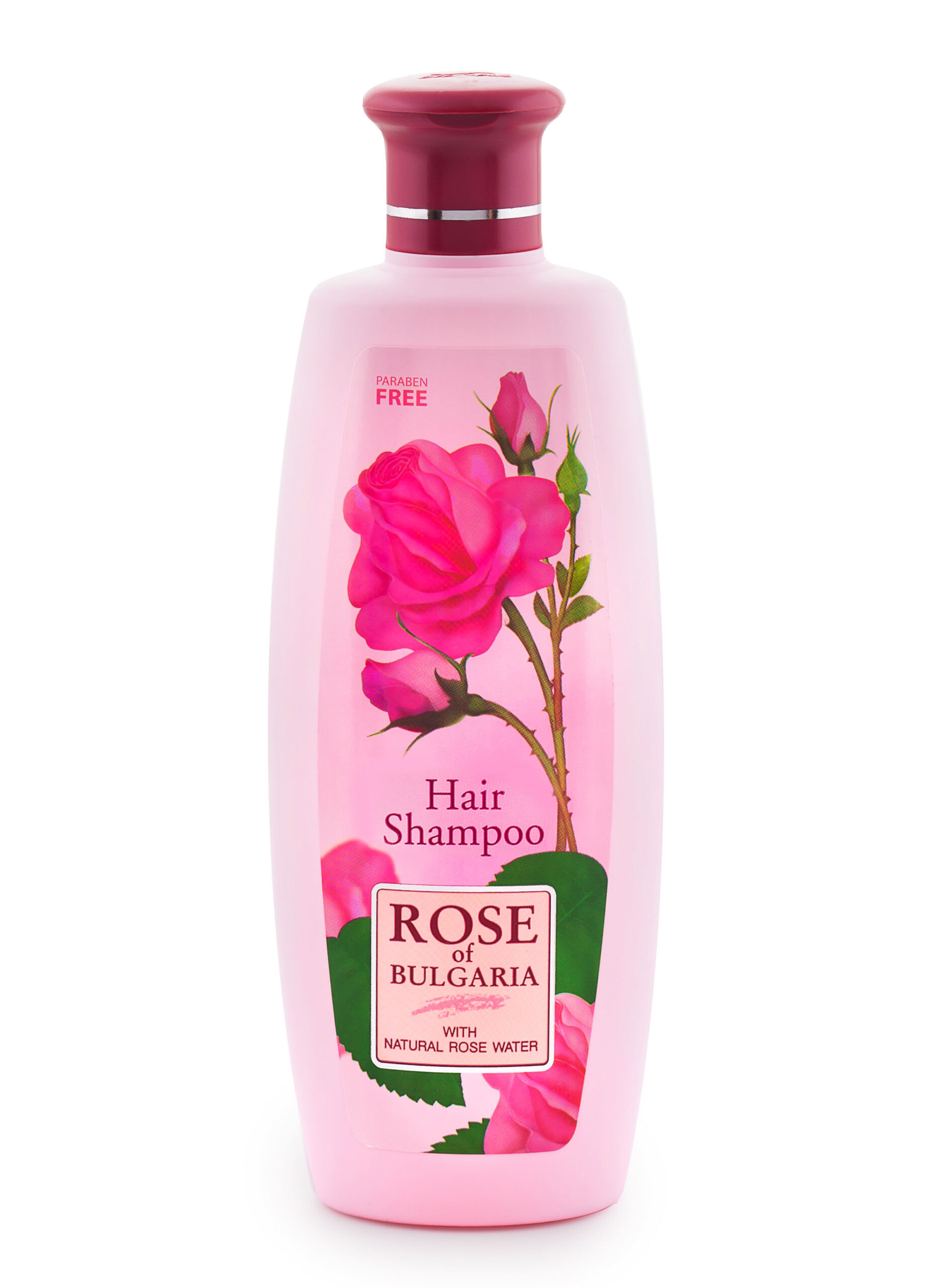 Sampon Rose of Bulgaria